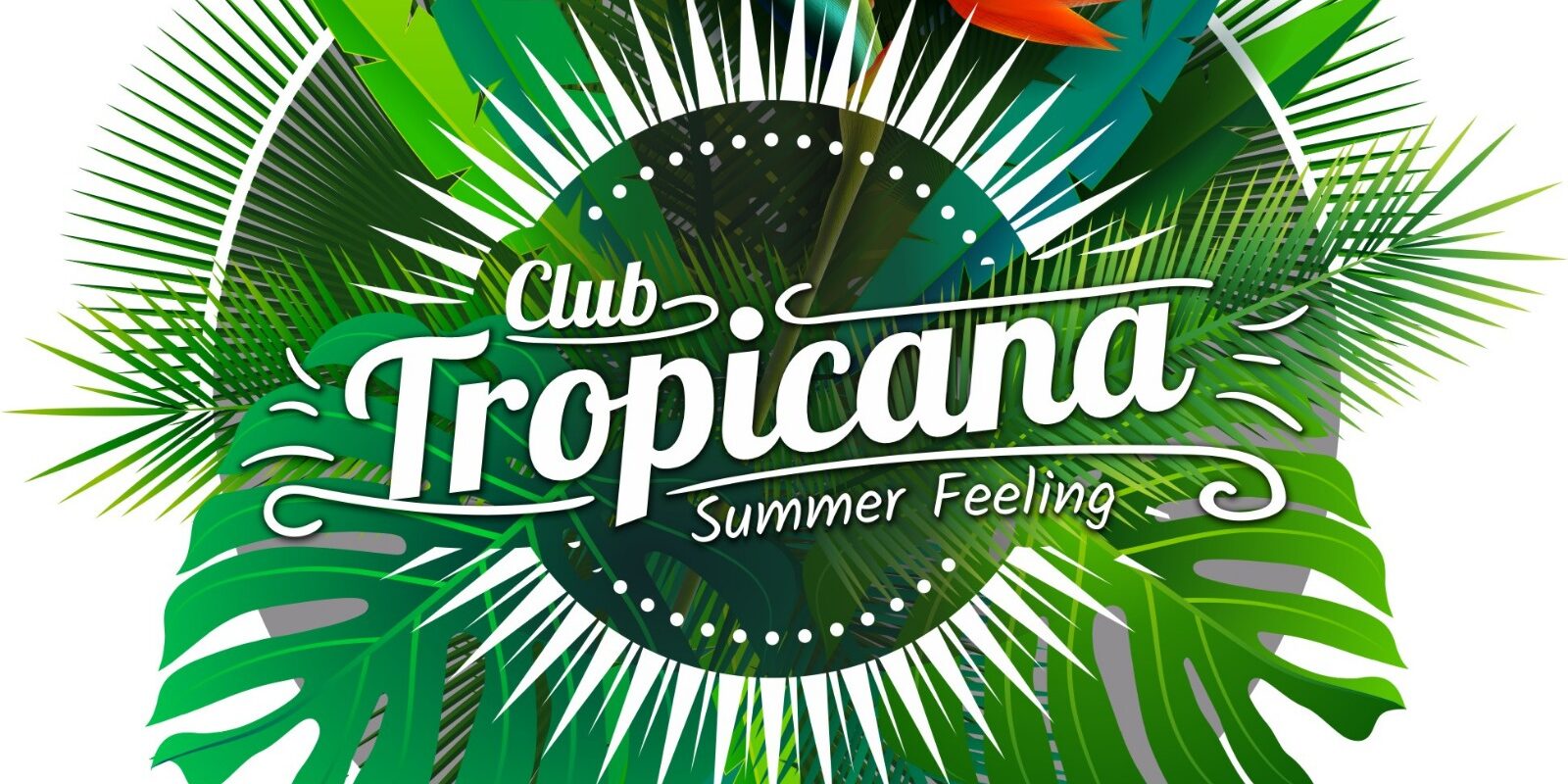 Club Tropicana Albufeira